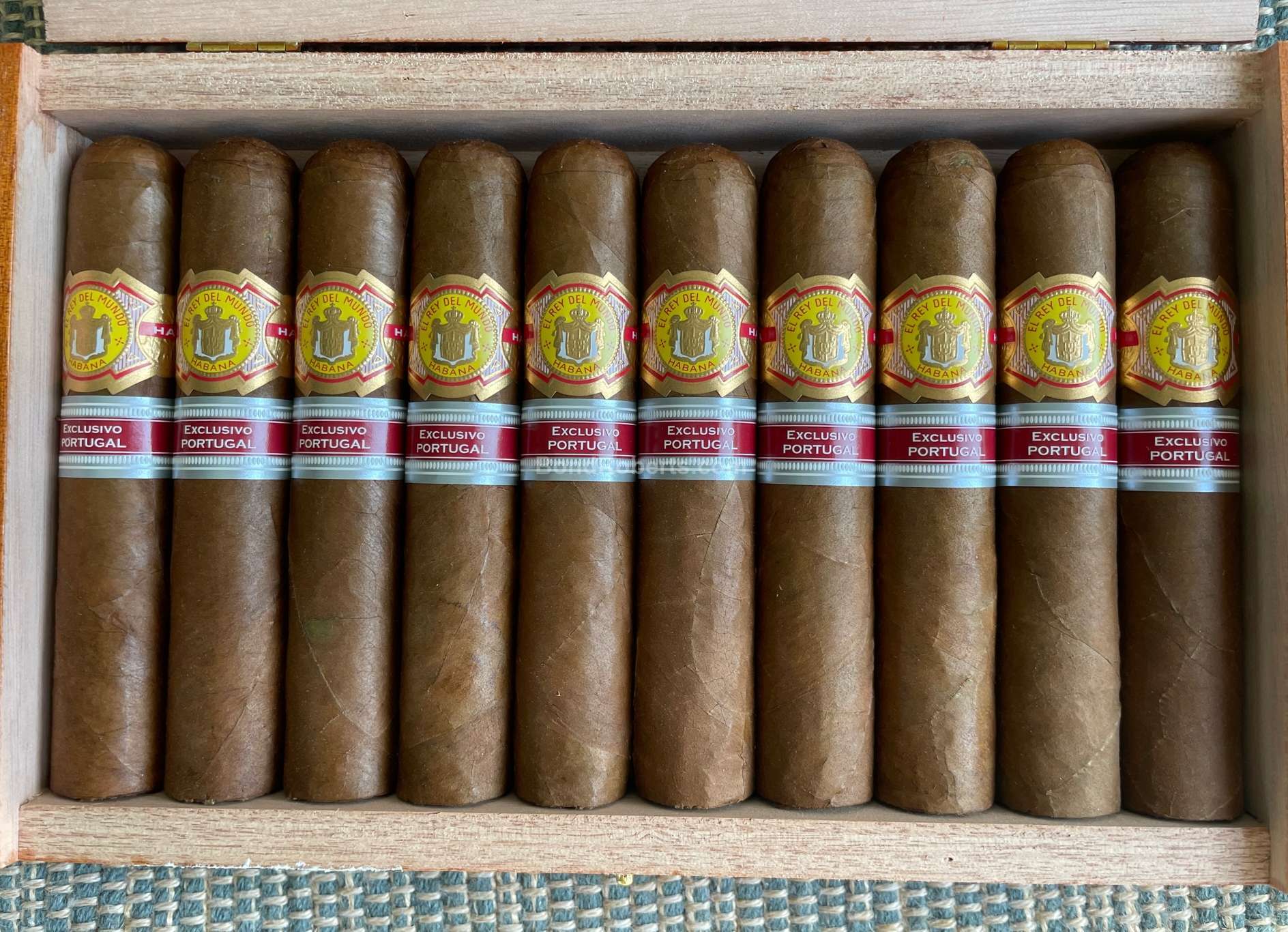 El Rey Del Mundo Templarios Puro 10’s