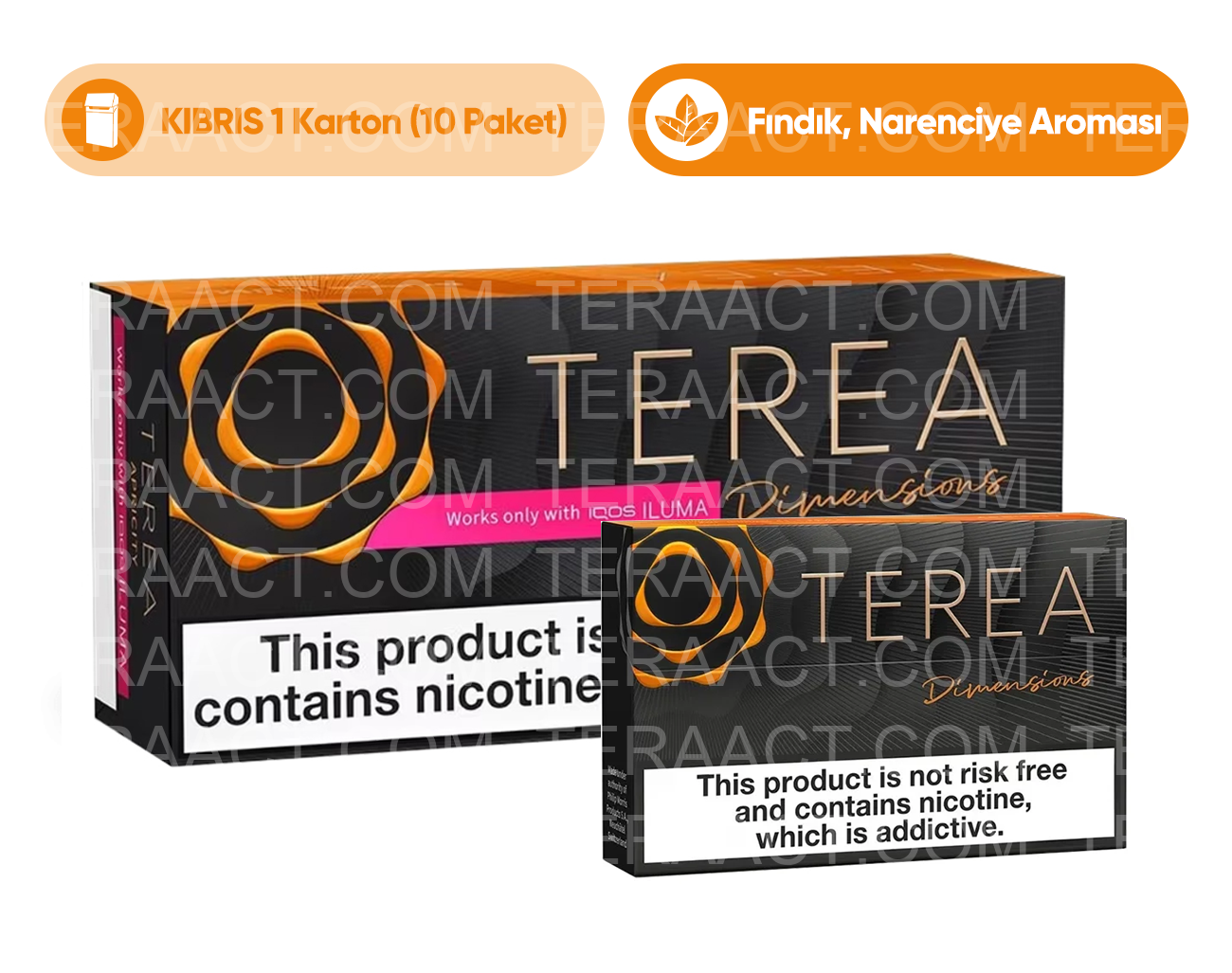 IQOS Terea Dimensions Noor